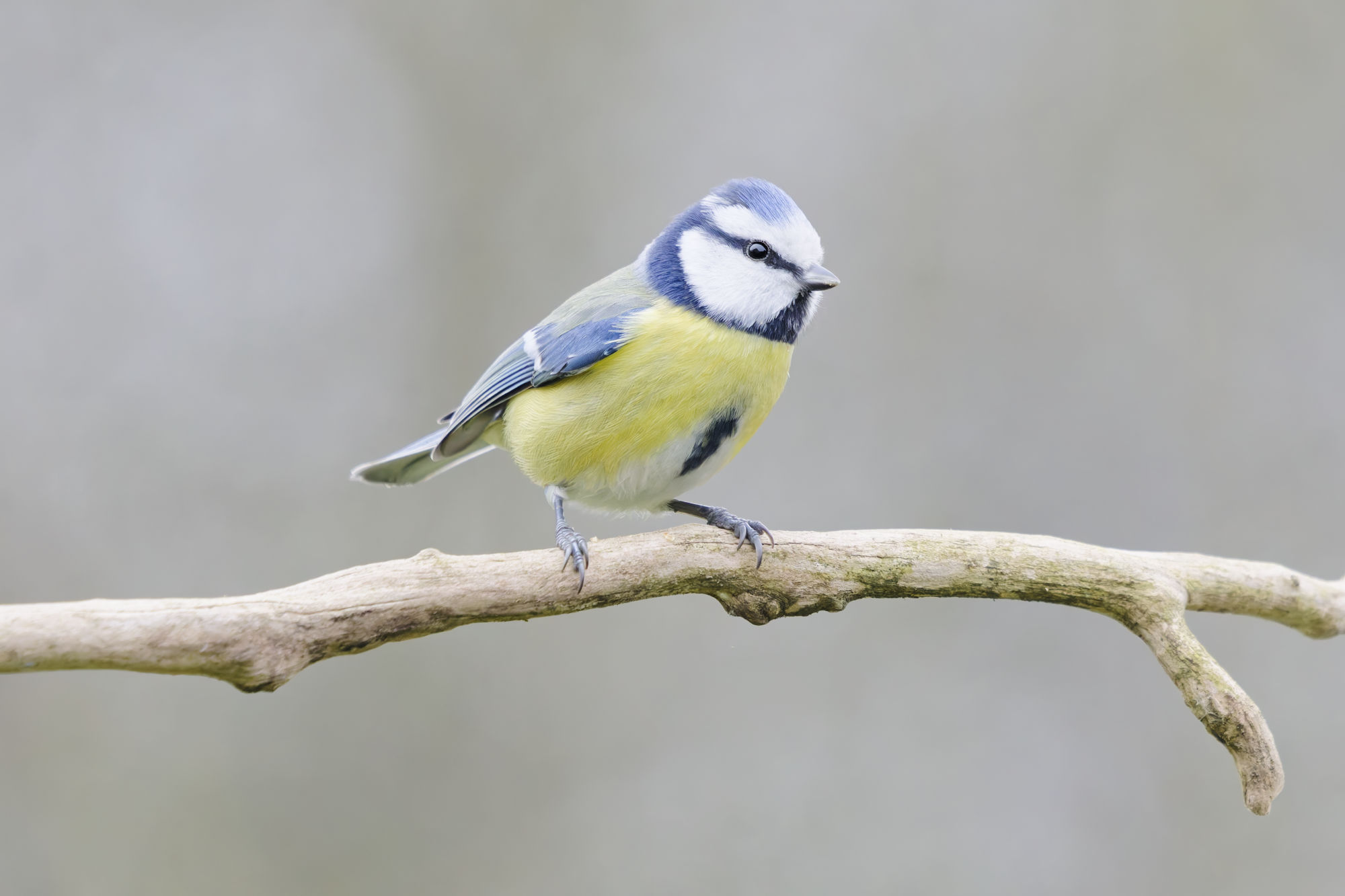 DxO PhotoLab 9 zamiast Lightrooma